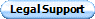 Litigation Support